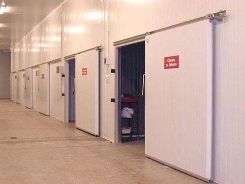 300平方中型工業(yè)凍庫(kù)安裝建造