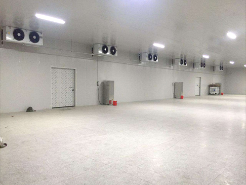 5000平方食品低溫冷庫造價(jià)大概多少