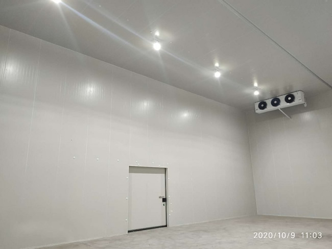 浙江醫(yī)藥冷庫建設 藥品冷庫安裝特點