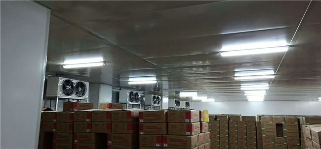 洋蔥冷庫(kù)儲(chǔ)存 洋蔥冷庫(kù)造價(jià)一般是多少錢(qián)