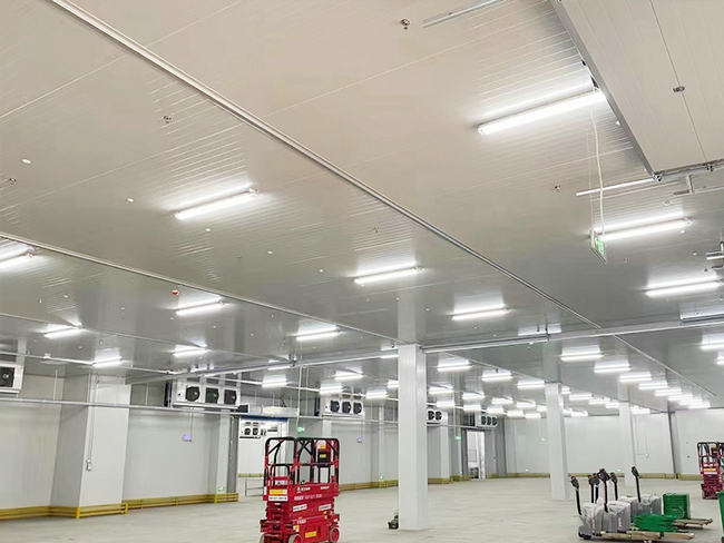 蔬菜冷庫(kù)造價(jià)大概需要的費(fèi)用是多少