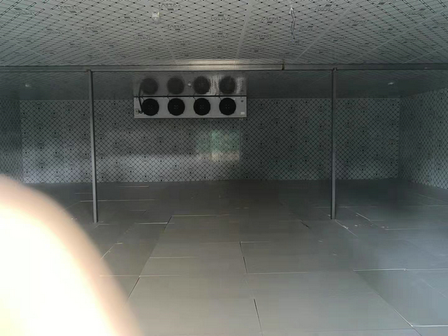 鮮花冷庫可行嗎？鮮花能不能放冷庫