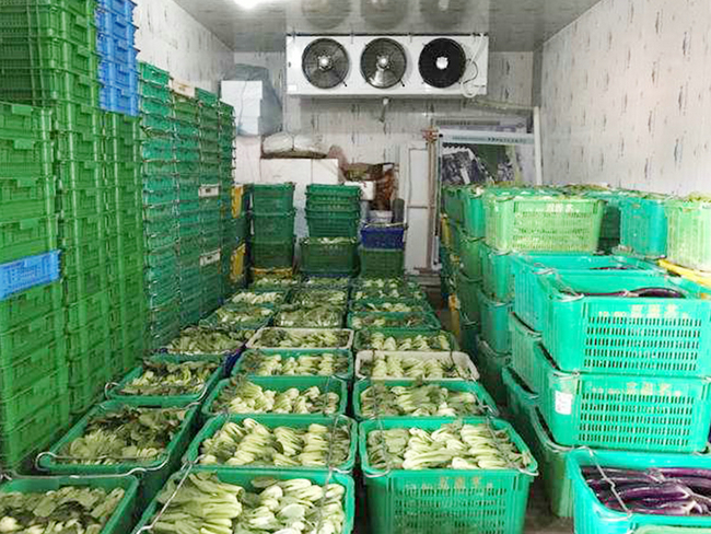 冷庫(kù)貯藏和冷凍食物應(yīng)該避免的幾件事