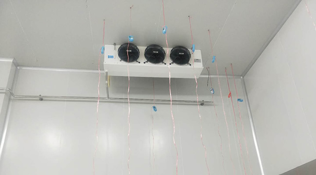 建造個芒果冷庫價格要多少錢？