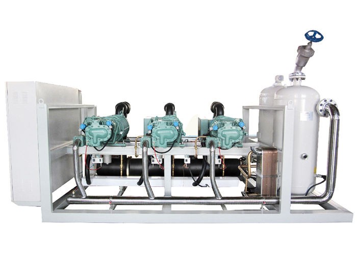 德國(guó)比澤爾低溫螺桿并聯(lián)機(jī)組