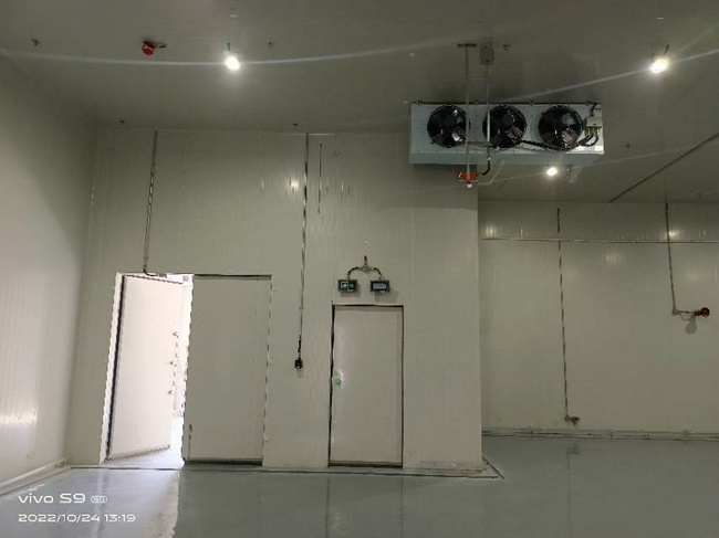 湖州建30噸蔬菜保鮮庫造價(jià)要多少錢？
